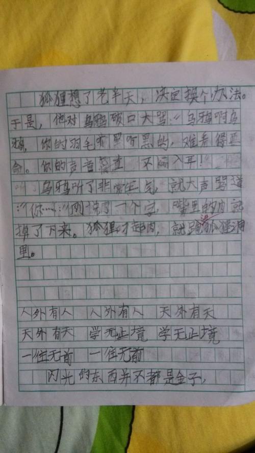 肉被骗走之后