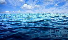美丽的大海