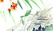 读《螳螂捕蝉》有感