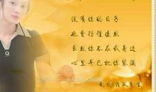 在没有你的日子里