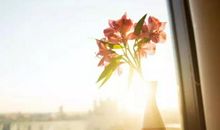 友谊，一生的财富