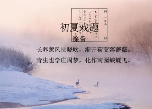 诗，我爱你