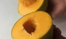 芒果我想对你说