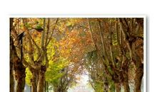 诗词之美令我感动