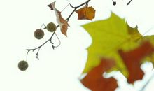 流淌在逝去岁月里的温馨