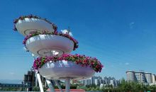 美丽的涉县我的家