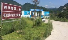 体验张家界_600字