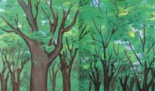 由大树的长成想到的