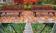 秋天的市民广场