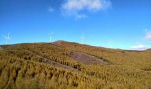 马路上的“他们”