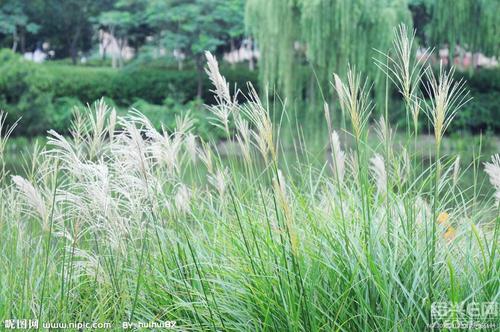贯穿四个季节