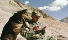 触动心灵的瞬间