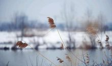 美丽的江宁我的家