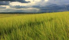 那些拨动过我的心弦