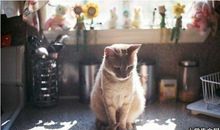 令人难忘的细节