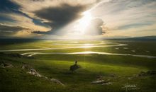 一道美丽的阳光