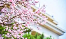 我想悄悄地告诉你