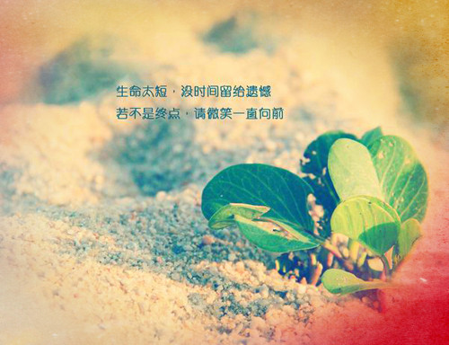 过去的回忆