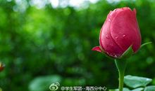 那一刻，我的一世界春暖花开