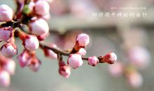 感受春天留住美