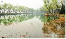 最是一年春好处