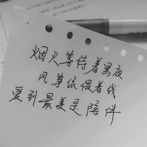 最美丽的伴侣