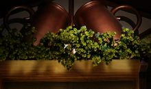 点点滴滴，让天中更美好