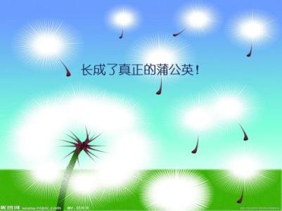 蒲公英飞行