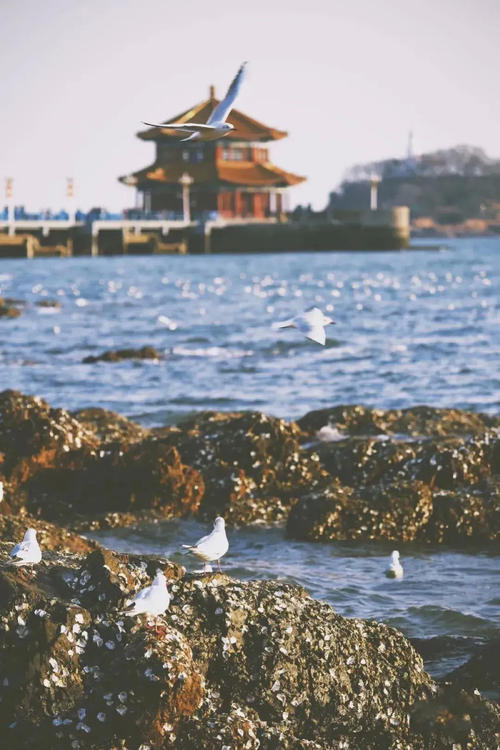 [超新星中学组]熟悉的地方也有风景_800字
