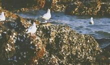 [超新星中学组]熟悉的地方也有风景_800字