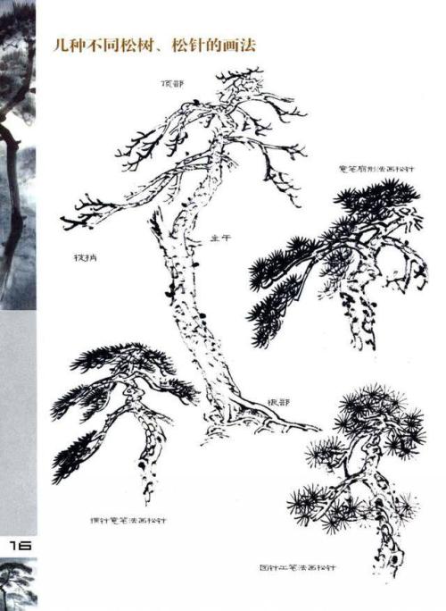 不同的松树