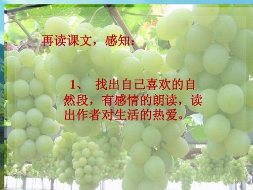 阅读“生活”