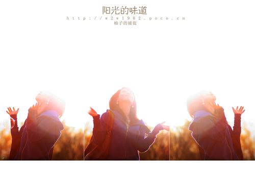 阳光的气味