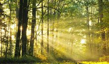 [超新星中学组]熟悉的地方也有风景_400字