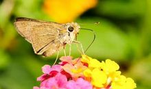 世界因你而美好