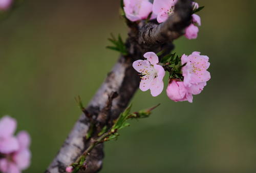 热情