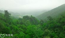 大余丫山一日游