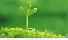 把青春的绿色铺满征途