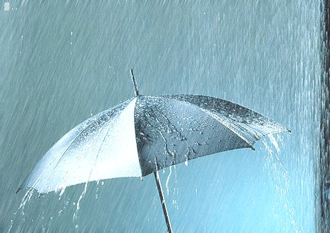 雨