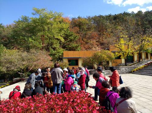 大自然是我们的老师