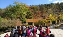 大自然就是我们的老师