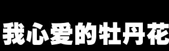 我心爱的笔