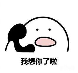 我是男孩，我感到骄傲