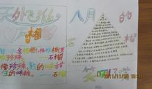 石榴灯的秘密读后感