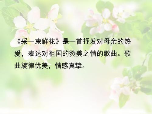继续写“一束鲜花” _200字