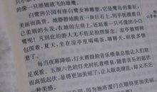 家乡的景色_400字
