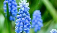 把生命托付给阅读