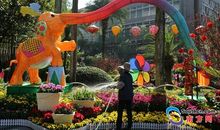 百花竞放的国家文化