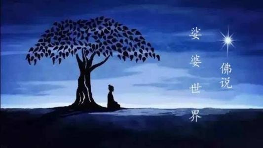 寻找“苦”的爱