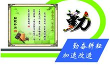 值得我学习的人_300字